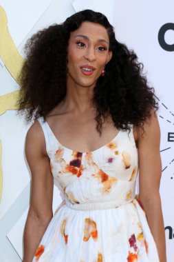 LOS ANGELES - 24 Mart 2022 'de Beverly Wilshire Oteli' ndeki ESSENCE 15. Yıldönümü Siyahi Kadınlar Ödülleri 'nde MJ Rodriguez 