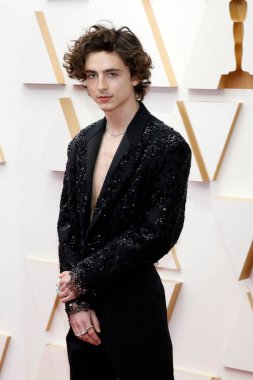 LOS ANGELES - 27 MAR: Timothee Chalamet Dolby Tiyatrosu 94. Akademi Ödülleri 'nde 27 Mart 2022, Los Angeles, CA