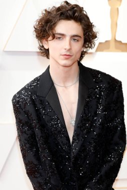 LOS ANGELES - 27 MAR: Timothee Chalamet Dolby Tiyatrosu 94. Akademi Ödülleri 'nde 27 Mart 2022, Los Angeles, CA