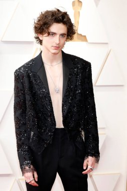 LOS ANGELES - 27 MAR: Timothee Chalamet Dolby Tiyatrosu 94. Akademi Ödülleri 'nde 27 Mart 2022, Los Angeles, CA
