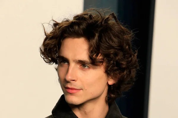 Los Angeles Mar Timothee Chalamet Bei Der Vanity Fair Oscar — Stockfoto