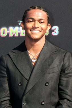 LOS ANGELES - JUL 9:  Noah Zulfikar at the Zombies 3 Premiere Screening at Barker Hanger on July 9, 2022 in Santa Monica, CA