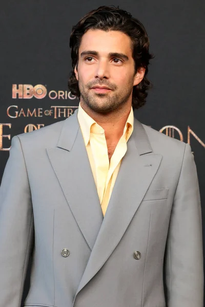 Los Angeles Jul Fabien Frankel House Dragon Premiere Screening Academy — Photo