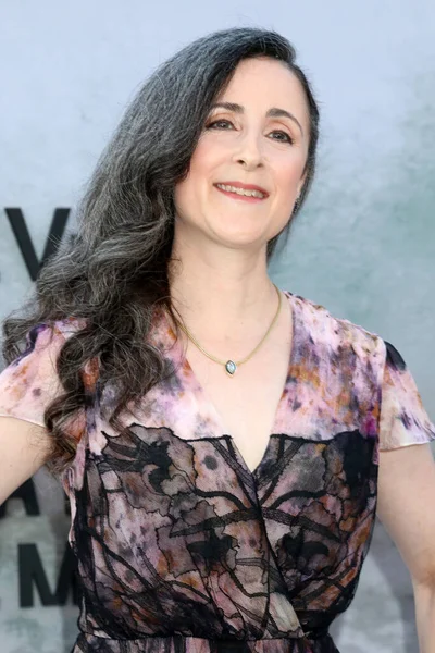 Los Angeles Aug Sheri Fink Five Days Memorial Series Premiere — Stockfoto