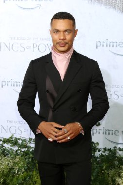 LOS ANGELES - AUG 15:  Ismael Cruz Cordova at the The Lord Of The Rings: The Rings Of Power Premiere Screening at Culver Studios on August 15, 2022 in Culver City, CA