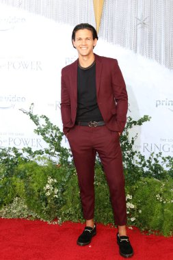 LOS ANGELES - AUG 15:  David Gridley at the The Lord Of The Rings: The Rings Of Power Premiere Screening at Culver Studios on August 15, 2022 in Culver City, CA