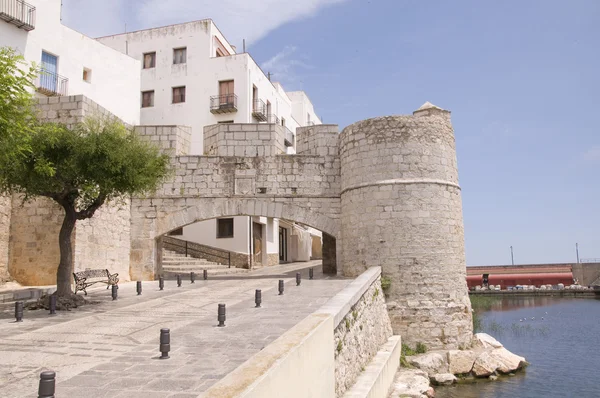 Porta de Sant Pere — Fotografia de Stock