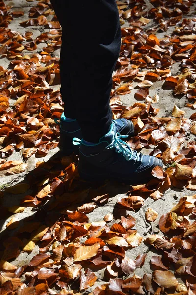 Child\'s boots walking over a ground covered by leaves.