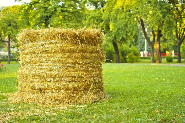 Bale of straw — Stock Photo, Image