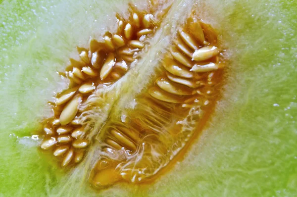 Melon seed — Stock Photo, Image