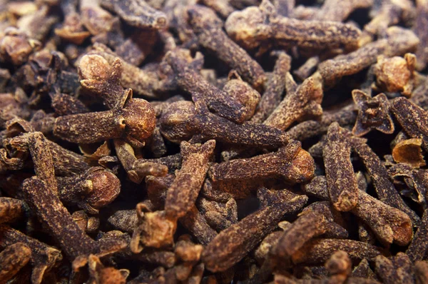 Closeup background of clover seeds — Stock Photo, Image