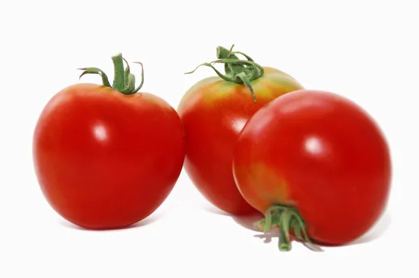 Tres tomates frescos — Foto de Stock