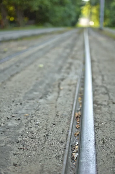 Tramvajové kolejnice — Stock fotografie