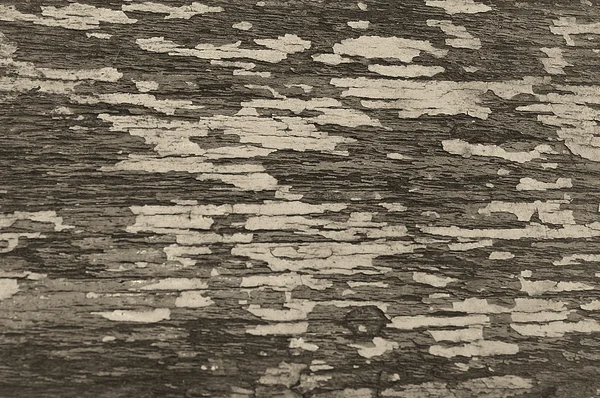 Old wood texture — Stock Photo, Image