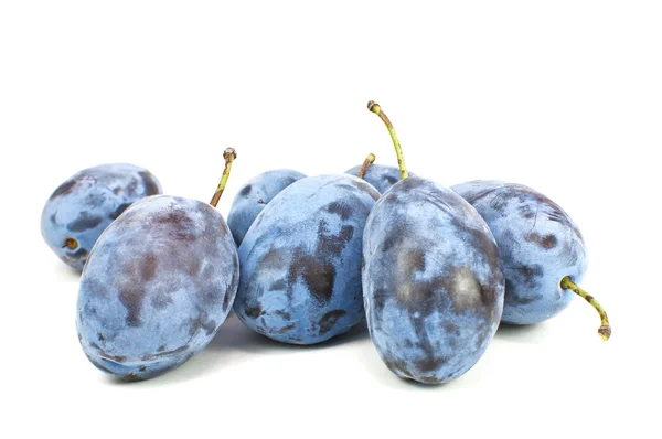 Fresh blue plums — Stock Photo, Image