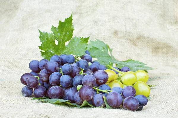 Fresh red and white grapes on vintage background — Stock Photo, Image