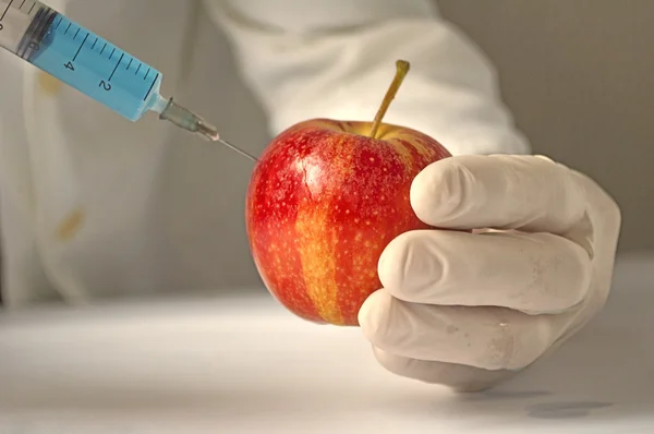 Gmo-Lebensmittelkonzept — Stockfoto