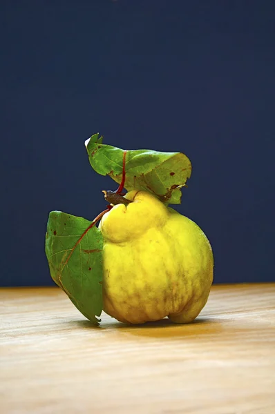 Квинс на фруктах — стоковое фото
