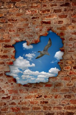 Seagull in the blue sky clipart