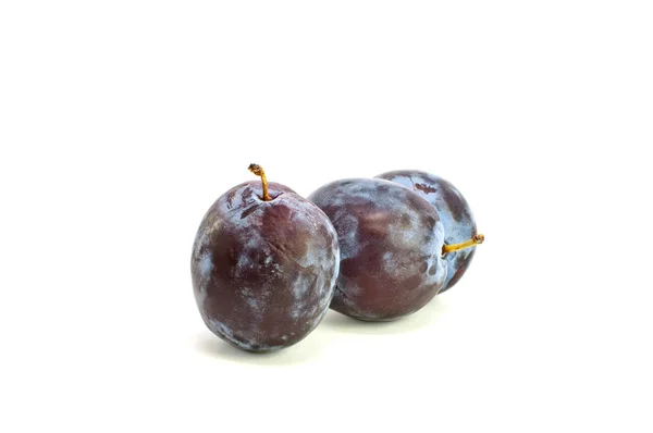 Fresh two plums — Stock Photo, Image