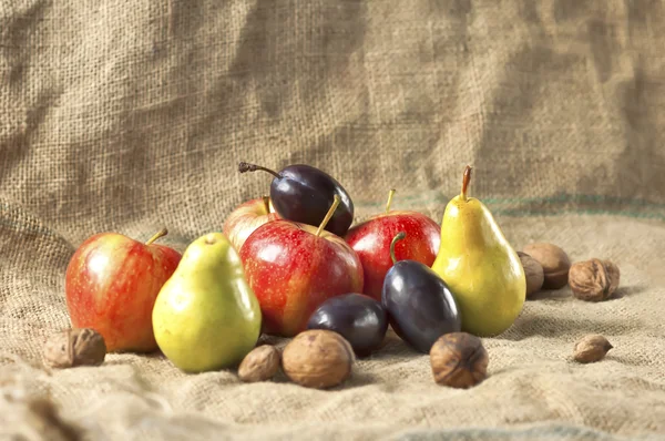 Осенние фрукты — стоковое фото