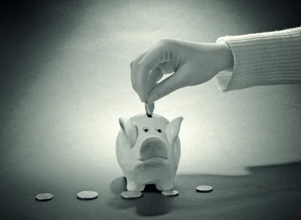 Piggy mynt bank — Stockfoto