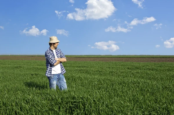 Agricultor en un campo de trigo —  Fotos de Stock