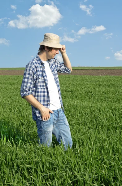 Agriculteur dans un champ de blé . — Photo