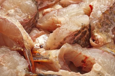 Zander fileto balık