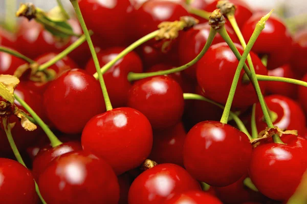 Chutné červené třešně. — Stock fotografie