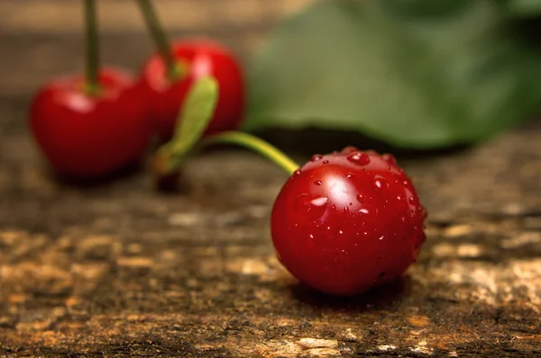 Smaker rødt kirsebær – stockfoto