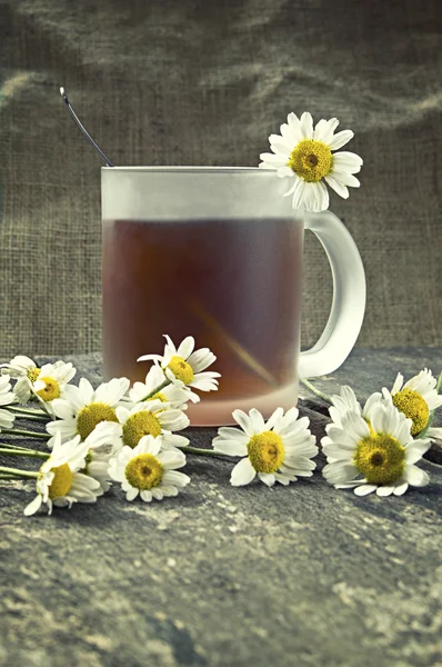 Xícara de chá e flores de camomila — Fotografia de Stock