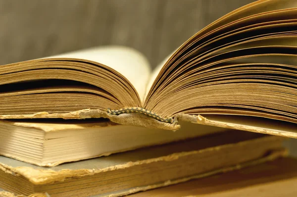 Old book with yellowing pages fanned open — Stock Photo, Image