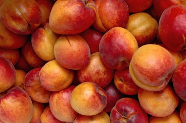 taze ve lezzetli doğal kayısı.