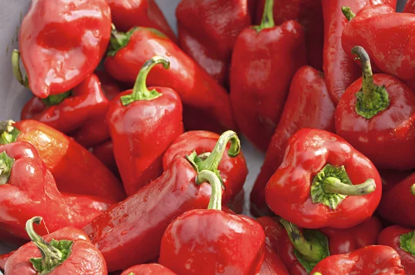 Sabrosos pimientos rojos grandes maduros . —  Fotos de Stock