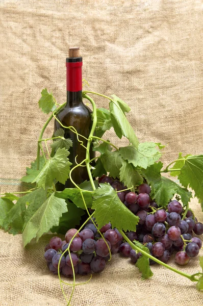 Süße rote Trauben mit einer Flasche Rotwein. — Stockfoto