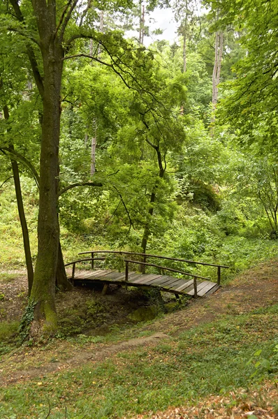 Mały drewniany most w lesie. — Zdjęcie stockowe