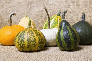 masa örtüsü üzerinde kabaklar.