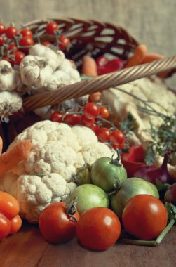 bahçeden taze organik sebze.