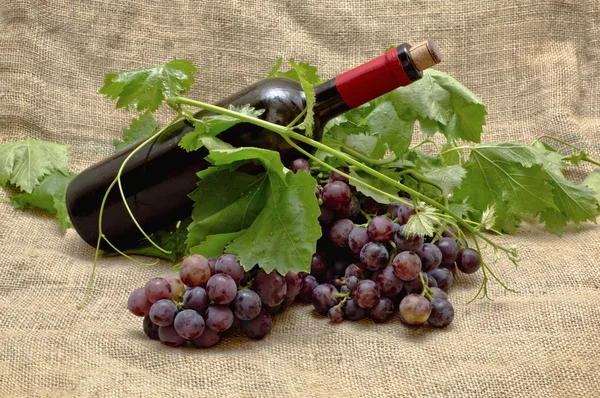 Süße rote Trauben mit einer Flasche Rotwein. — Stockfoto