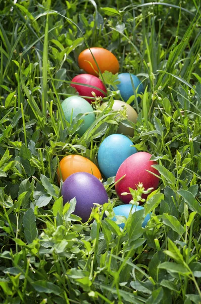 Colorful easter eggs in green grass. — Stock Photo, Image
