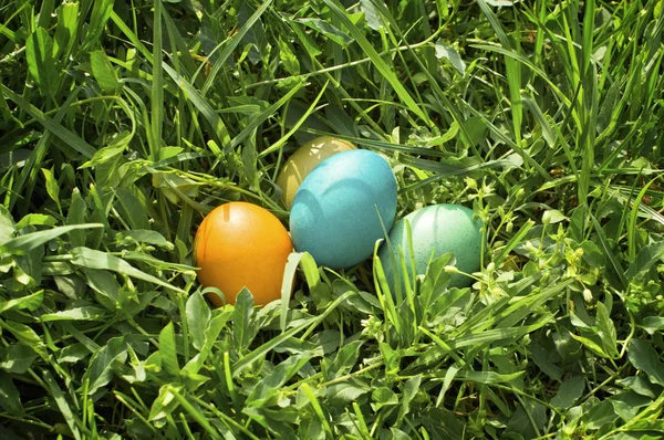 Colorful easter eggs in green grass. — Stock Photo, Image