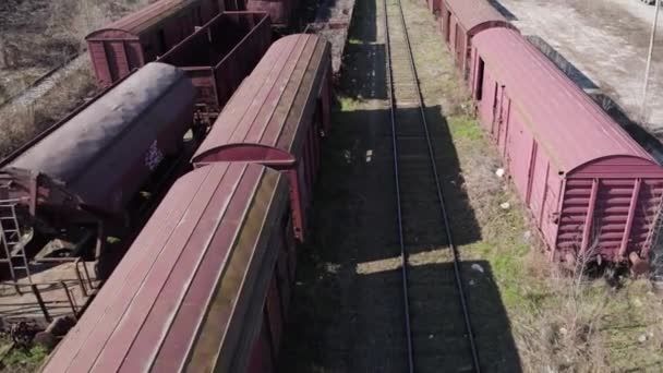Flucht Entlang Verlassener Güterwagen — Stockvideo
