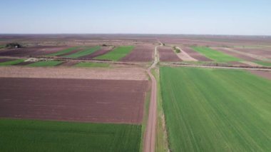 Kırsal kesimdeki ekili tarlaların insansız hava aracı görüntüleri. Tarım kavramı.