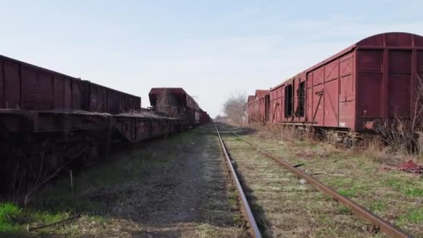 Flucht Entlang Verlassener Güterwagen — Stockvideo