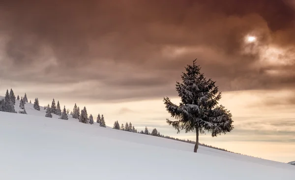 Zimní scéna v horách — Stock fotografie