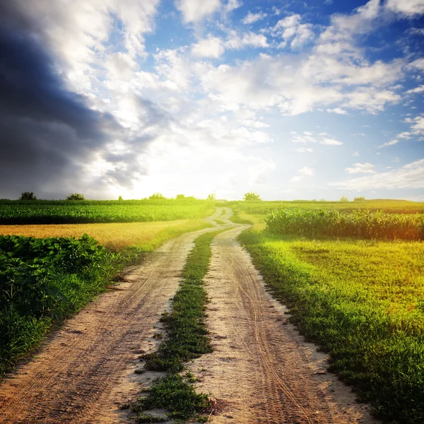 Rural road in the field and sunny sky — Stock Photo, Image