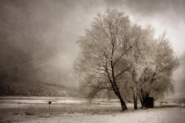 Frozen winter landscape — Stock Photo, Image