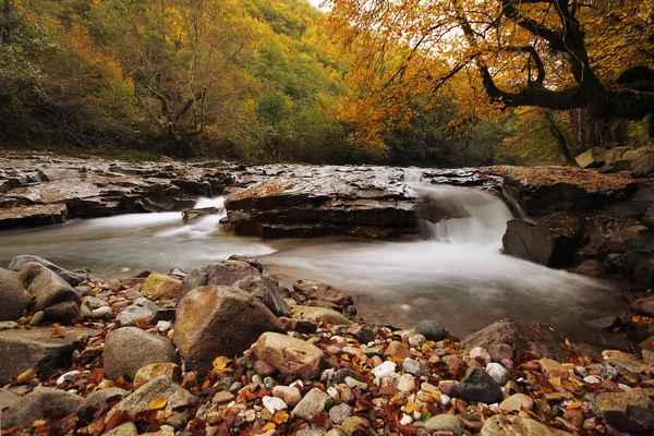 Autumn creek in Transylvania — Stock Photo, Image