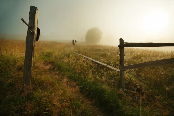 Путь и деревянный забор в туманное утро — стоковое фото